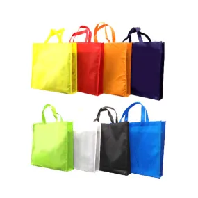 80gsm Non-woven Bag