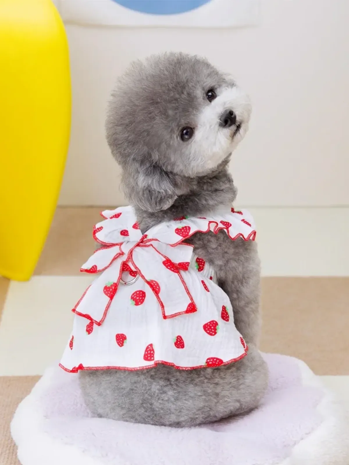 Charming Summer Strawberry Print Dog Dress